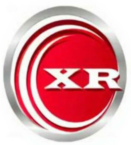 DVD-Cloner XR Gold 2025